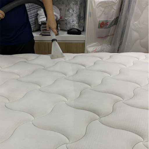 limpeza-sofa